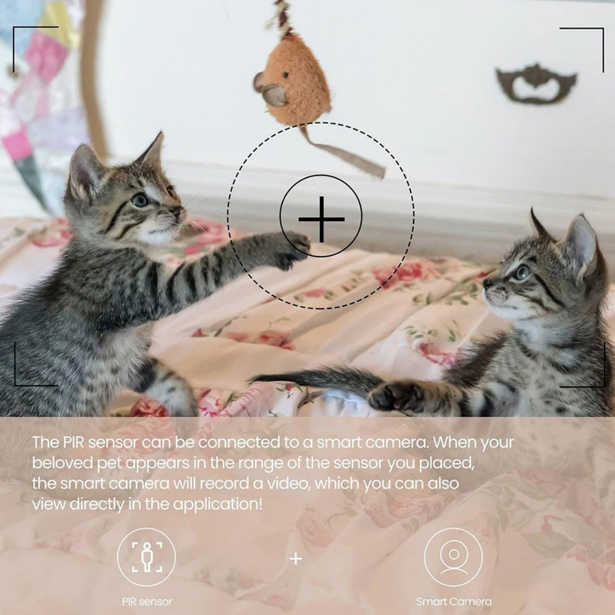 ZigBee 3.0 PIR Sensor Gerak Ni - Smart Home Zentrale ulasan dan harga
